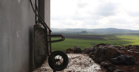 Agriculture et guerre en Syrie du Nord : « Make Rojava Green Again »