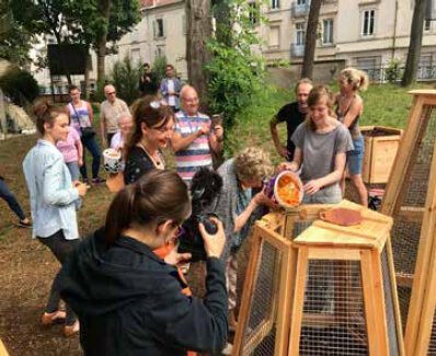 Apport de compost dans un îlot de compostage urbain