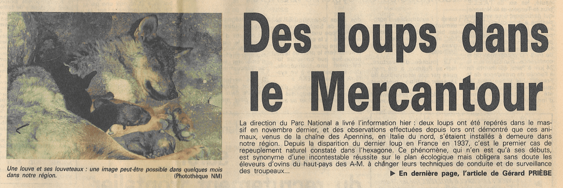 Avril 1993 : Nice Matin informe pour la première fois du retour du loup