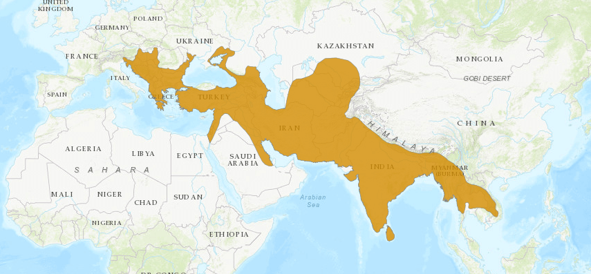 Carte de répartition du Chacal doré (Canis aureus) - La dispertion de l'espèce est telle qu'il est difficile de savoir exactement où elle est actuellement présente