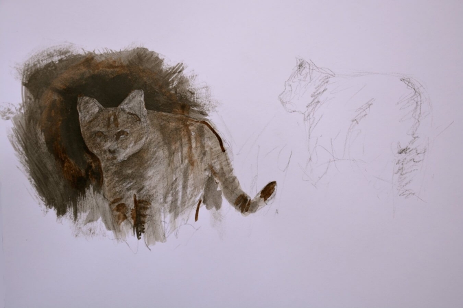 Rencontre et chat