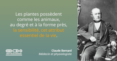 Les plantes possèdent comme les animaux, au degré et à la forme près, la sensibilité, cet attribut essentiel de la vie. - Claude Bernard