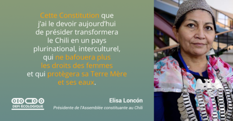 Cette Constitution que j’ai le devoir aujourd’hui de présider transformera le Chili en un pays plurinational, interculturel, qui ne bafouera plus les droits des femmes et qui protègera sa Terre Mère et ses eaux. - Elisa Loncón