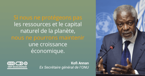 Si nous ne protégeons pas les ressources et le capital naturel de la planète, nous ne pourrons maintenir une croissance économique. - Kofi Annan