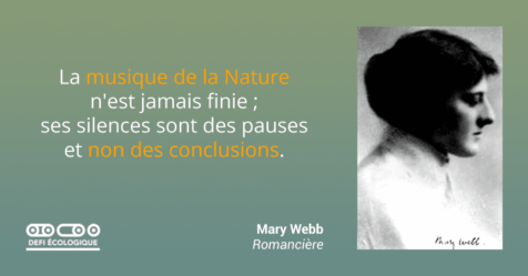 La musique de la Nature n'est jamais finie, ses silences sont des pauses et non des conclusions. - Mary Webb