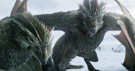 Disparition des dragons : est-ce une fatalité ?