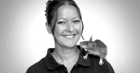 Élevage de rats démineurs « Apopo » : interview du docteur Cindy Fast