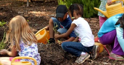 Enfants et jardinage : comment utiliser le potager pour sensibiliser les jeunes !