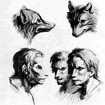 Gravures du traité de physionomonie de de Ch. Lebrun et Morel d'Arleux rapprochant l'Homme du loup