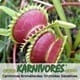 Logo de Karnivores