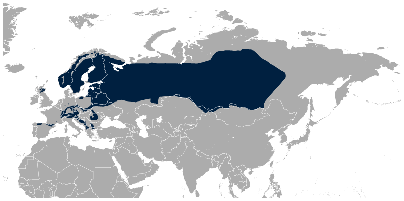  Répartition géographique du Grand Tétras occidental Tetrao urogallus